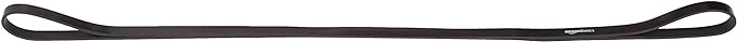 Amazon Basics Resistance Pull Up Bands