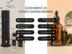 Scentiment Diffuser Oil - Cranberry Crush Fall Collection | Aromatherapy Home Fragrance | Luxurious Scent with Notes of Berries, Ginger, Lime (50ml)