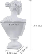 11.8 Inch Classic Greek White Athena Woman Bust Statue, Large Resin Roman Goddess Anna Sculpture for Home Décor