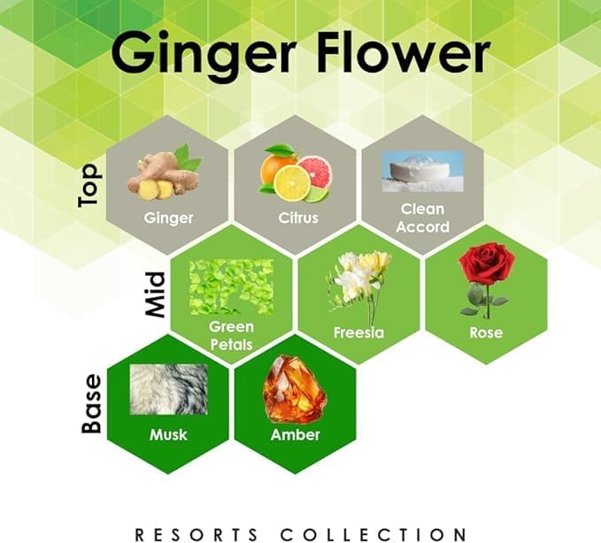 Aroma Retail Fragrance Oil Refill for Scent Machine Aroma Diffuser (27 fl oz, Ginger Flower)