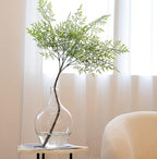 Ryddelighome Large Clear Glass Vase 12 Inch - Round Glass Vase for Flowers, Clear Round Vase Pampas Grass Decor, Glass Jar Table Centerpiece Home Decor