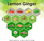Aroma Retail Fragrance Oil Refill for Scent Machine Aroma Diffuser (4 fl oz, Lemon Ginger)