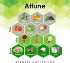 Aroma Retail Fragrance Oil Refill for Scent Machine Aroma Diffuser (4 fl oz, Attune)