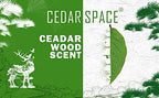 Cedar Blocks for Clothes Storage, Cedar Wood Chips and Balls for Drawer 60PCS, Closet and Kitchen Freshener, 100% Natural Cedar Blocks