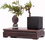 GOLDY&WENDY Asian Indoor Home Decor Base Square Solid Wood Flower Pot Plant Buddha Statue Display Stand Home Decor Pedestal