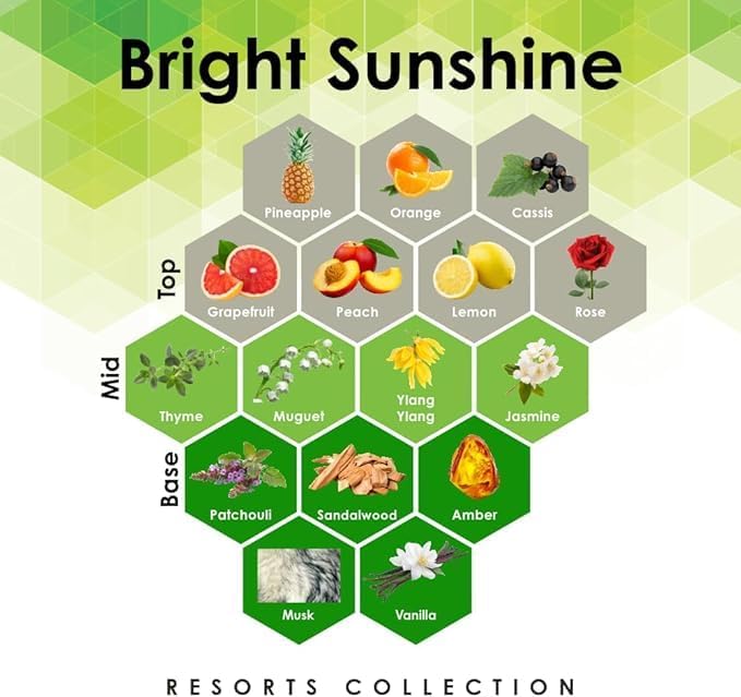 Aroma Retail Fragrance Oil Refill for Scent Machine Aroma Diffuser (4 fl oz, Bright Sunshine)