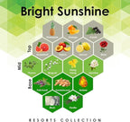 Aroma Retail Fragrance Oil Refill for Scent Machine Aroma Diffuser (27 fl oz, Bright Sunshine)