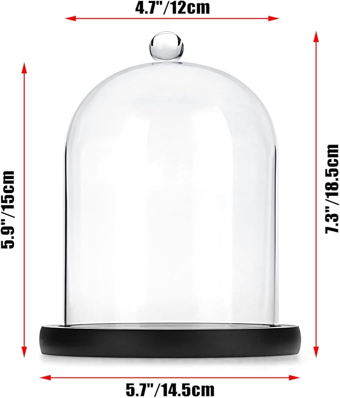 JUXYES Glass Display Dome Cloche with Wood Base, Clear Glass Dome Cloche Bell Sphere Jar Snow Globe Kit, Snowglobe Cloche Bell Jar Display for Fairy Light Plant Collectible Figures