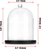 JUXYES Glass Display Dome Cloche with Wood Base, Clear Glass Dome Cloche Bell Sphere Jar Snow Globe Kit, Snowglobe Cloche Bell Jar Display for Fairy Light Plant Collectible Figures