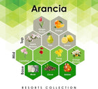 Aroma Retail Fragrance Oil Refill for Scent Machine Aroma Diffuser (27 fl oz, Arancia)