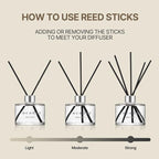 COCODOR Signature Reed Diffuser Set/Pure Cotton / 6.7oz /1 Pack/Home Fragrance Diffuser, Oil Scent Diffuser for Bathroom Shelf Decor