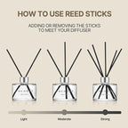 COCODOR Signature Reed Diffuser Set/Black Cherry / 6.7oz /1 Pack/Home Fragrance Diffuser, Oil Scent Diffuser for Bathroom Shelf Decor