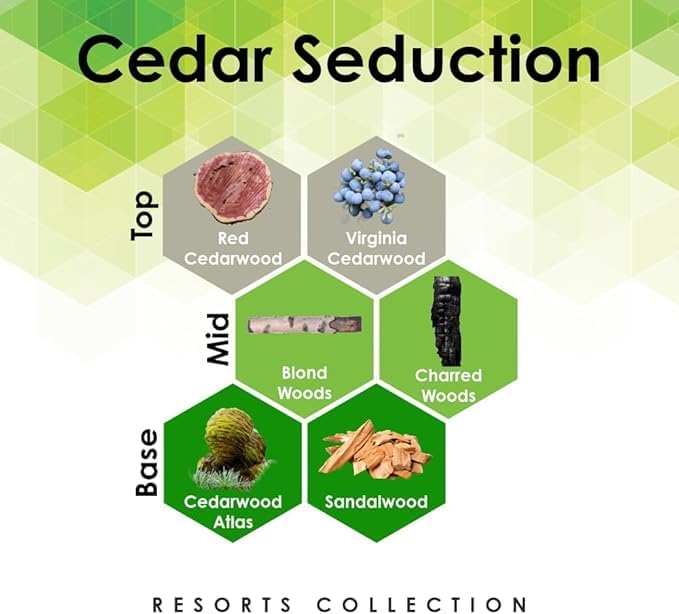 Aroma Retail Fragrance Oil Refill for Scent Machine Aroma Diffuser (27 fl oz, Cedar Seduction)