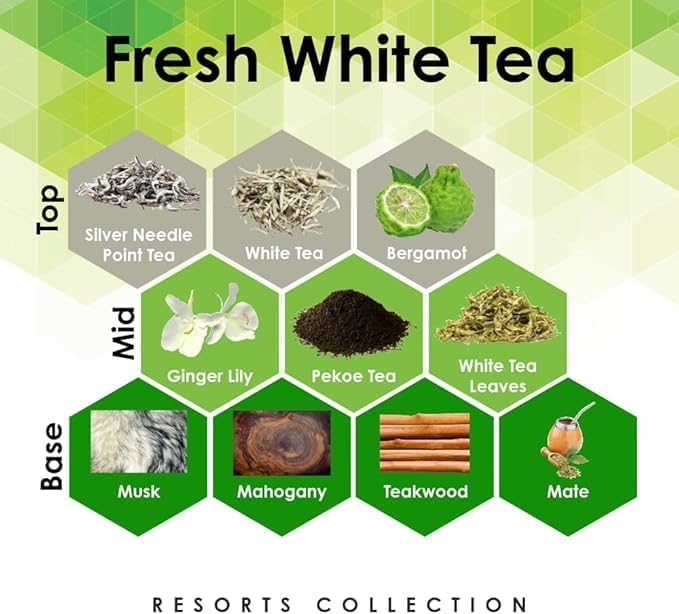 Aroma Retail Fragrance Oil Refill for Scent Machine Aroma Diffuser (4 fl oz, Fresh White Tea)