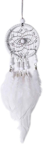 Feather Dream Catcher Pendant, Small Car Charm for Wall & Bedroom Hanging Decorations (White)