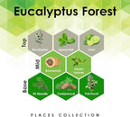 Aroma Retail Fragrance Oil Refill for Scent Machine Aroma Diffuser (27 fl oz, Eucalyptus Forest)