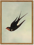 Framed Vintage Bird Wall Art, Sage Green Flying Swallow Pictures Wall Decor, Minimalist Japandi Nature Paintings Canvas Prints Modern Home Decor for Living Room Bedroom Bathroom Office 12x16 Inch