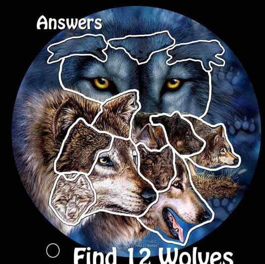 Remorelt 3PCS/Set Large Size Dream Catcher Wolf & Eagle Pattern Hanging Decor, Native American Style Ornament for Home, Dorm, Car,Wolf Decor Wolf Gifts for Wolf Lover(DC04 13Inch Set 3 Mix)