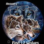 Remorelt 3PCS/Set Large Size Dream Catcher Wolf & Eagle Pattern Hanging Decor, Native American Style Ornament for Home, Dorm, Car,Wolf Decor Wolf Gifts for Wolf Lover(DC04 13Inch Set 3 Mix)