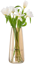 Aoderun Glass Vase for Flowers Modern Vases Home Decor Unique Flower Vase for Bouquet 8.7" Centerpiece Vase Decor Room,Bedroom,Living Room,Library,Office,Table,Entryway,Modern Farmhouse(Amber)