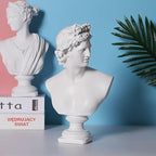 11.8 Inch Classic Greek White David Man Bust Statue, Large Resin Roman Goddess Apollo Sculpture for Home Décor