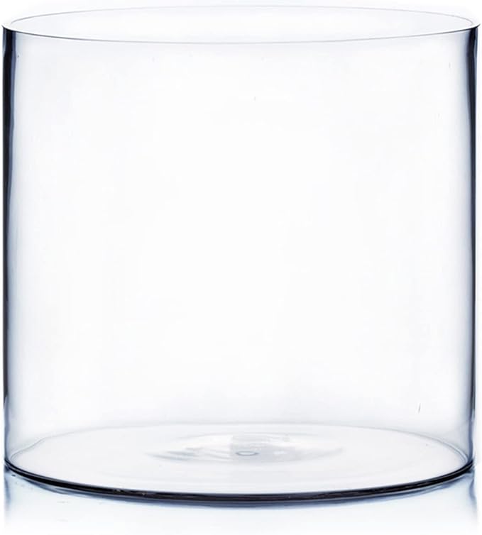 WGV Cylinder Vase, Width 10", Height 10", Clear Wide Large Diameter Flower Glassware, Floral Container, Planter Terrarium for Wedding Party Event, Home Accent Decor, 1 Piece