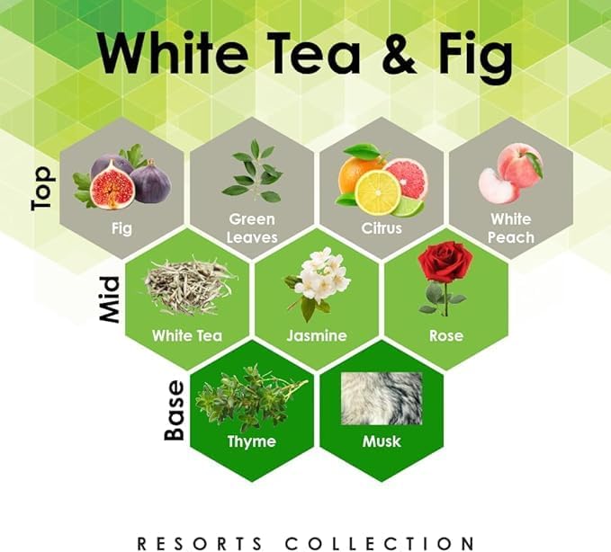 Aroma Retail Fragrance Oil Refill for Scent Machine Aroma Diffuser (4 fl oz, White Tea Fig)
