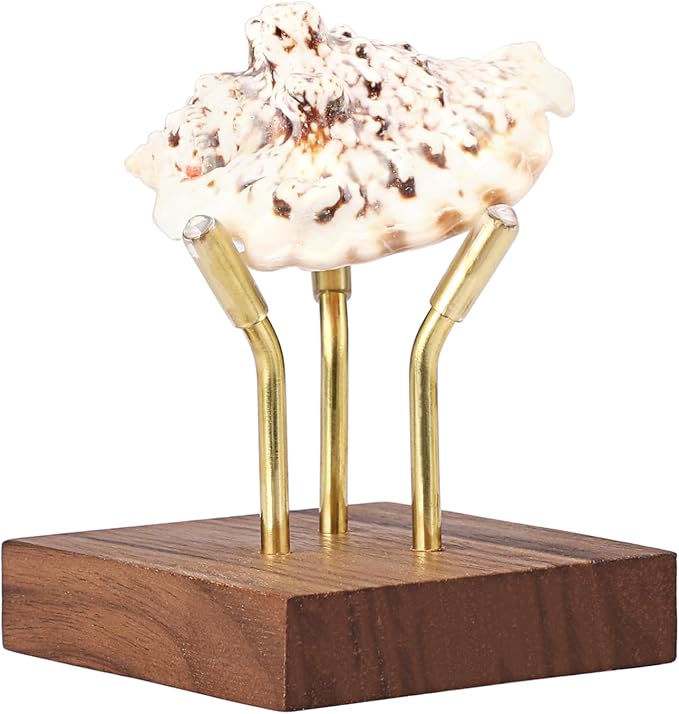 Hipiwe Sphere Display Stand Easel for Crystal Ball Mineral Geodes Rock Agate Small Collectibles Three Metal Peg Rock Display Easel with Wooden Base, Large