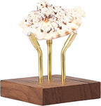 Hipiwe Sphere Display Stand Easel for Crystal Ball Mineral Geodes Rock Agate Small Collectibles Three Metal Peg Rock Display Easel with Wooden Base, Large