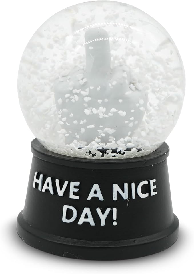 Funny Novelty Snow Globe – Quirky Mini Desk Gift for Office, Home, or Holiday – Unique Collectible Gag Gift for Friends and Coworkers - Have a Nice Day