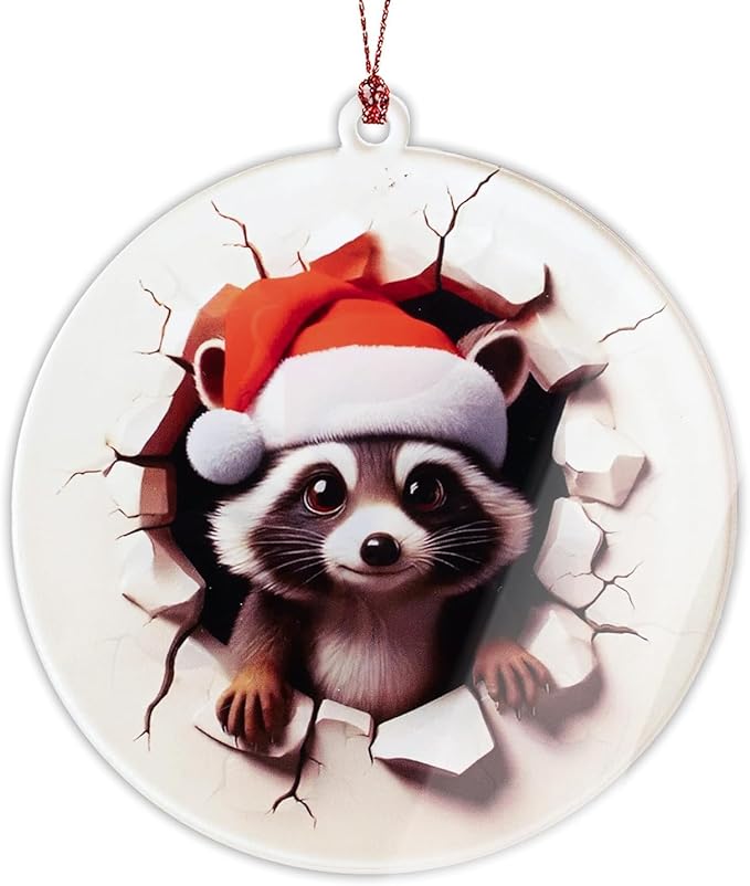 Racoon Christmas Ornaments 2025, Raccoon Funny Ornament with 2D Effect, Racoon Gifts for Women Men, Hanging Christmas Tree Decorations for Family Friends, Holiday Ornament for Raccoon Lovers