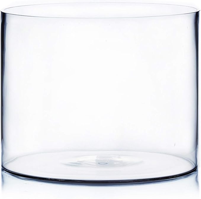 WGV Cylinder Vase, Width 10", Height 8", Clear Wide Large Diameter Flower Glassware, Floral Container, Planter Terrarium for Wedding Party Event, Home Accent Decor, 1 Piece