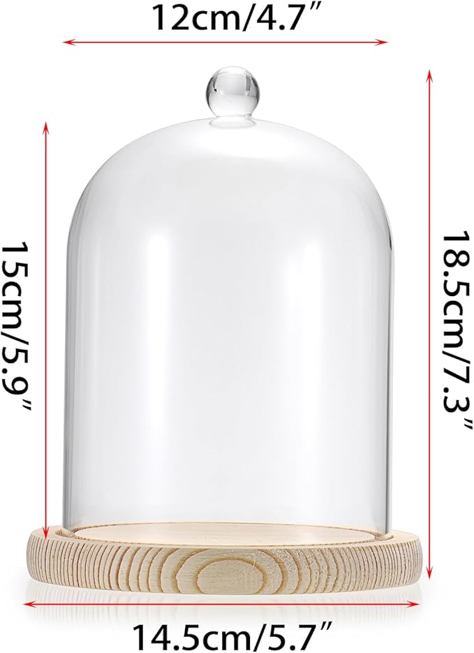 JUXYES Glass Display Dome Cloche with Wood Base, Clear Glass Dome Cloche Bell Sphere Jar Snow Globe Kit, Snowglobe Cloche Bell Jar Display for Fairy Light Plant Collectible Figures