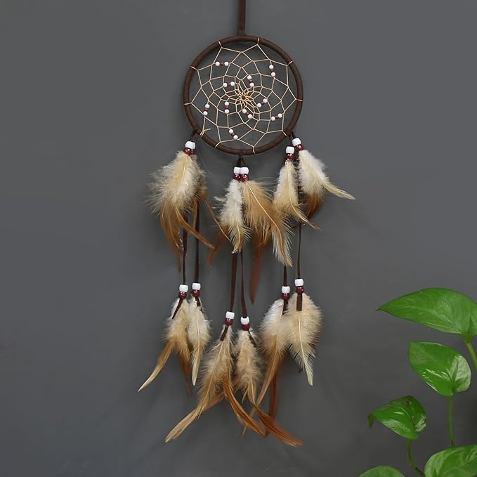 Handmade Dream Catchers Wall Decor,Boho Feather Dreamcatcher with Natural Elements,Unique Home Decor Gift for Bedroom, Living Room (Brown 19.7in)