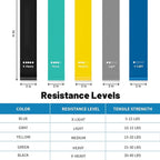 Resistance Loop Exercise Bands for Working Out, Fitness Elastic Bands, Workout Bands for Home Gym, Stretching, Yoga, Pilates, Physical Therapy (5pcs Set)