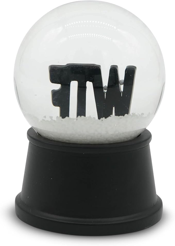 Funny Novelty Snow Globe – Quirky Mini Desk Gift for Office, Home, or Holiday – Unique Collectible Gag Gift for Friends and Coworkers - WTF