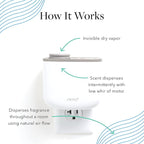 Aera Revive Essential Oil Aromatherapy Home Fragrance Scent Refill - Notes of Juniper Berry, Rosemary and Grapefruit - Works with Aera Diffuser, Mini Scent Capsule Size