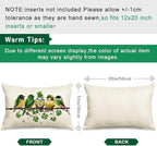 RABUSOFA St.Patricks Day Pillow Covers 12x20 Inch,Birds Shamrock St Patricks Day Decorations Holiday Spring Decorative Pillow Case Decor for Sofa Couch Green