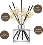 COCODOR Preserved Real Flower Reed Diffuser/Pure Cotton / 6.7oz(200ml) / 2 Pack/Reed Diffuser Set, Oil Diffuser & Reed Diffuser Sticks, Home Decor & Office Decor, Fragrance and Gifts