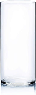 WGV Cylinder Vase, Width 7", Height 16", Clear Wide Large Diameter Flower Glassware, Floral Container, Planter Terrarium for Wedding Party Event, Home Accent Decor, 1 Piece