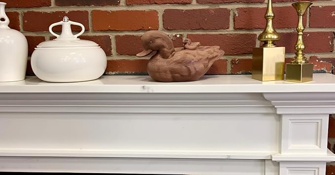 Hymmah Duck Home Decor Statue Rustic Home Decorations for Living Room, Boho Sculpture Resin Animal Collectible Figurines for Indoor Decor