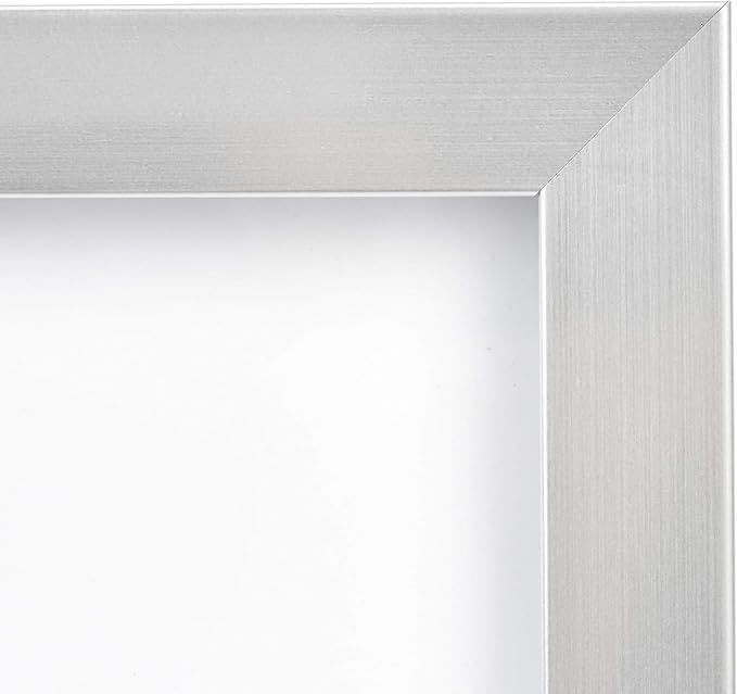 Amazon Basics Rectangular Photo Picture Frame 5" x 7" Pack of 2 & Command Medium Picture Hanging Strips