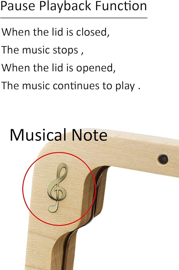 Sinzyo Anastasia-Once Upon a December Music Box Vintage Musical Boxs for Birthday Gift Valentine's Day Christmas Day(Musical Note Walnut Box)