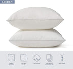 Leeden 30 x 30 Pillow Inserts (Set of 2) - Throw Pillow Inserts with 100% Cotton Cover - 30 Inch Square Interior Sofa Pillow Inserts - Decorative Pillow Insert Pair - White Couch Pillow