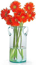 MDLUU Decorative Glass Vase 11" Tall, Bubble Air Flower Vase with Handles, Handblown Jug Vase for Dining Room, Bedroom, Bathroom, Mantel
