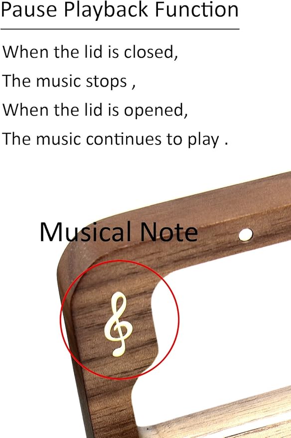 Sinzyo Anastasia-Once Upon a December Music Box Vintage Musical Boxs for Birthday Gift Valentine's Day Christmas Day(Musical Note Walnut Box)