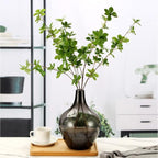 Gray Black Glass Vase - 12" Smoked Glass Vase, Large Black Jar, Modern Balloon Demijohn for Decor Living Room, Jarrones Decorativos para Sala, Modern Home Decor