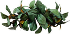 V-MAX 32" Magnolia Leaf Swag