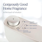 Aera Mini Home Hygiene Lavender and Bergamot - Essential Oil for Home - Relaxing Fragrance - Notes of Lavender, Lavandin and Wild Mint - Scent Refill - Capsule Size Works with Mini Diffuser