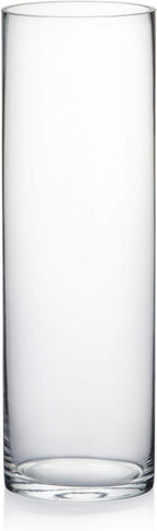 WGV Cylinder Vase, Diameter 5", Height 16", Clear Glass Floral Planter Container, Tall Centerpiece Arrangement for Wedding Party Event Home Office Decor, 1 Piece